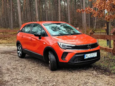 Auto Czarter